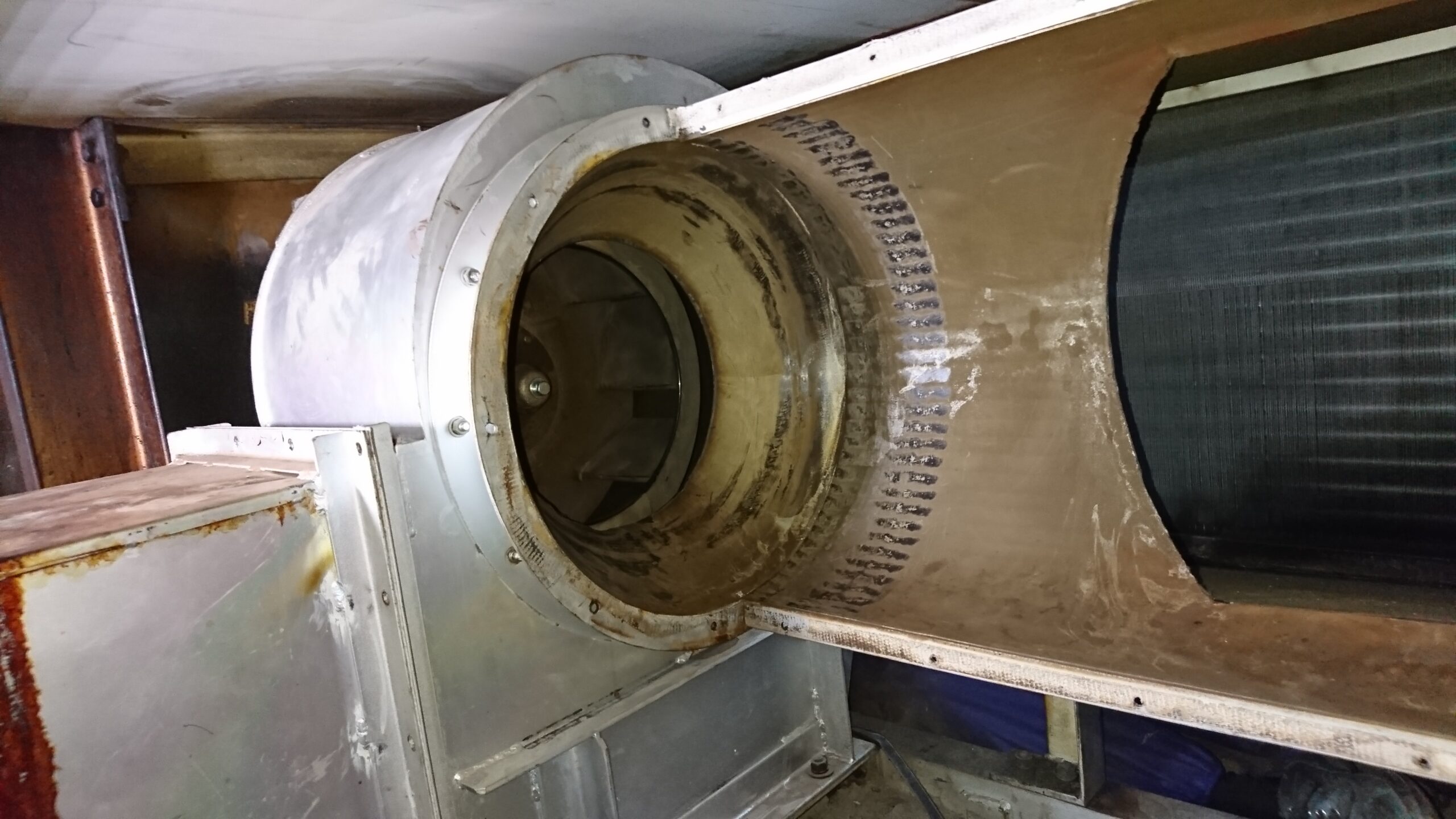 乾燥機送風ファン　羽根車点検